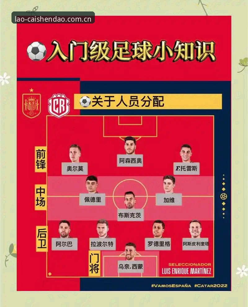 从签证困局看世界杯观赛体验的完整解析指南